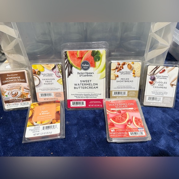 Other - Better Homes & Gardens Sweet Watermelon Buttercream Wax Melt Value Pack